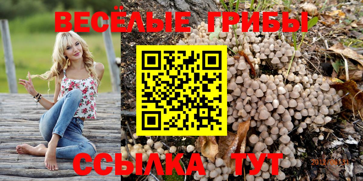 Россия  Галлюциногенные грибы мухоморы  Вход с VPN  Псилоцибиновые грибы Magic Shrooms 